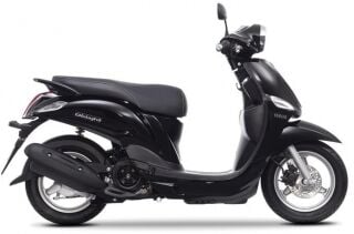 D'elight 115